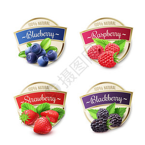 浆果标签浆果标签现实草莓蓝莓分离矢量插图图片