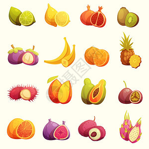 热带水果复古卡通图标新鲜热带水果复古卡通图标石灰香蕉木瓜猕猴桃石榴孤立矢量插图背景图片