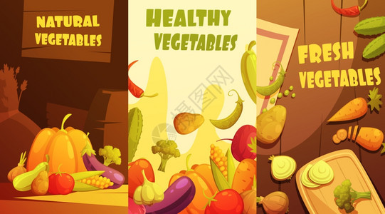 机蔬菜垂直横幅卡通海报新鲜健康机农贸市场蔬菜垂直横幅构图海报复古卡通风格孤立矢量插图图片