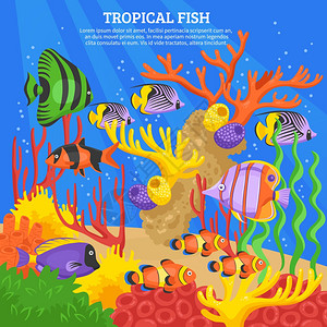热带鱼海背景热带鱼海背景与珊瑚水平矢量插图图片