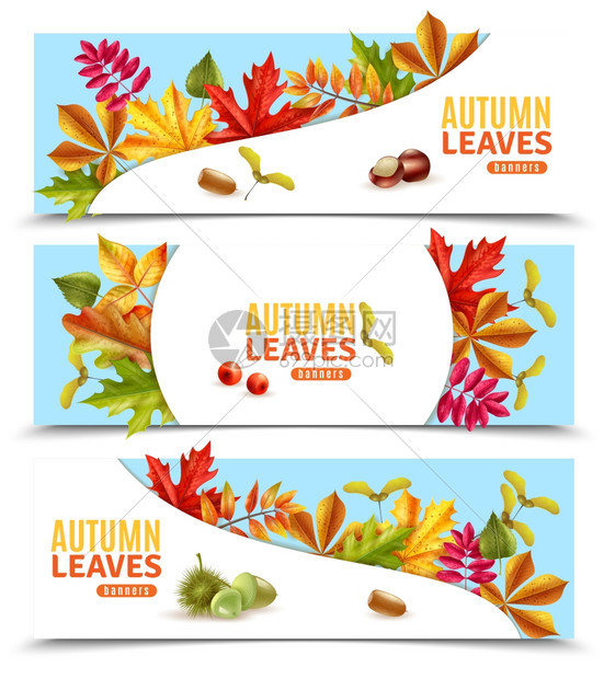 秋天的树叶横幅水平扁平的横幅与秋天的叶子栗子浆果橡子分离白色背景矢量插图图片
