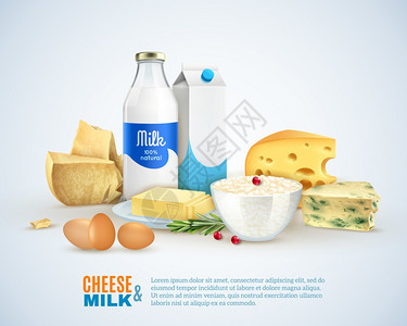 牛奶产品模板牛奶产品模板与同种类的奶酪鸡蛋纸箱黄油分离矢量插图图片