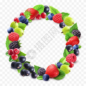 五颜六色的浆果圆形套装彩色浆果圆形醋栗草莓蔓越莓黑醋栗树莓透明背景分离矢量插图图片