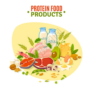 蛋白质食品平插图海报含蛋白质产品品种健康的日常配给,包括乳制品蔬菜平背景海报抽象矢量插图图片