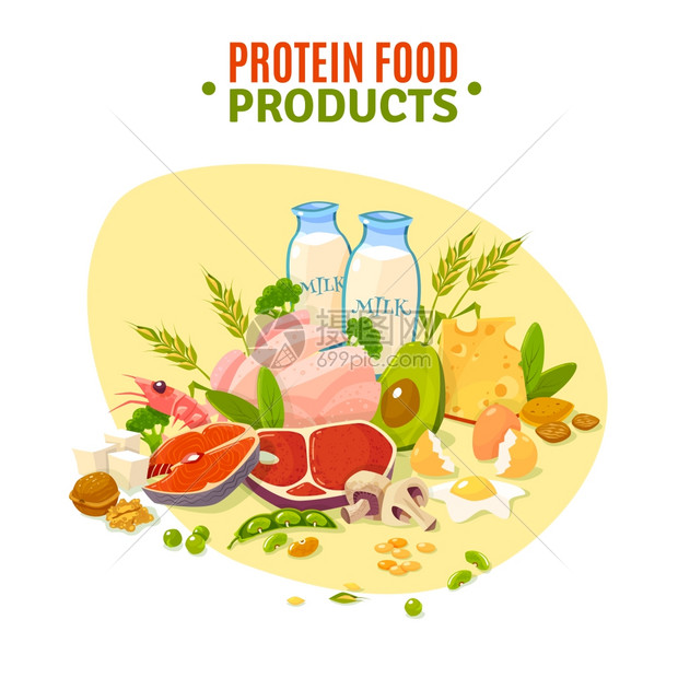 蛋白质食品平插图海报含蛋白质产品品种健康的日常配给,包括乳制品蔬菜平背景海报抽象矢量插图图片