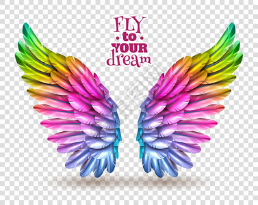 彩色机翼透明套装五颜六色的鸟翅透明的背景上,阴影平矢量插图图片