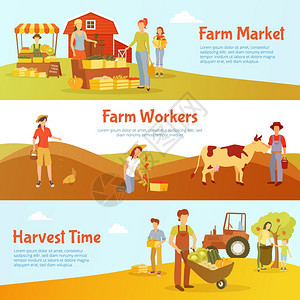 收获农场横向横幅平收获时间水平横幅与农场市场工人牛隔离矢量插图图片