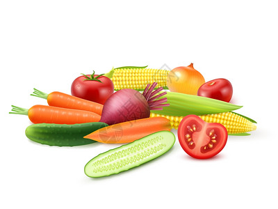 五颜六色的新鲜蔬菜模板彩色新鲜蔬菜模板与黄瓜番茄甜菜胡萝卜洋葱玉米分离矢量插图图片