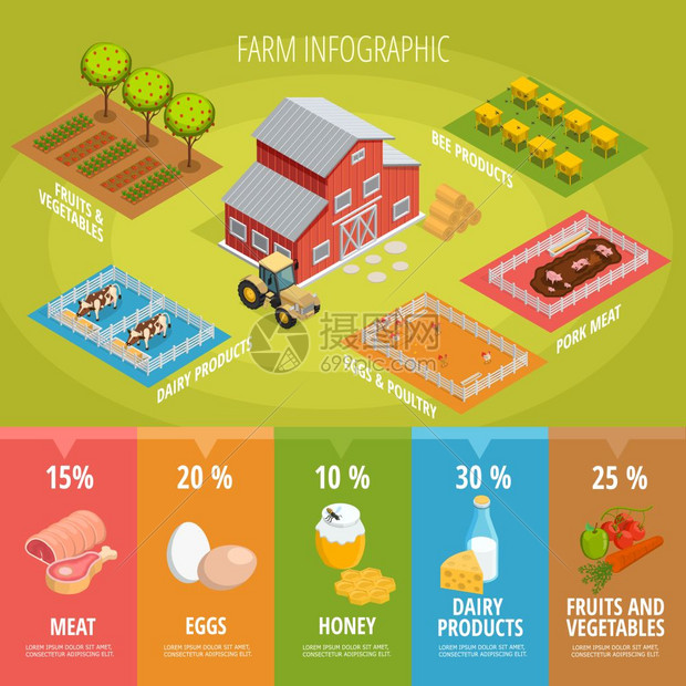 农场食品等距信息图农场食品等距信息图表与家庭拖拉机动物,蔬菜,水果健康机产品矢量插图图片