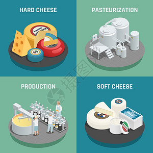 奶酪生产等距图标软硬奶酪生产4等距图标正方形与巴氏菌过程隔离矢量插图图片