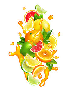柑橘果汁滴出五颜六色的成分新鲜柑橘类水果楔片部分与橙汁飞溅周围五颜六色的现实构图矢量插图图片