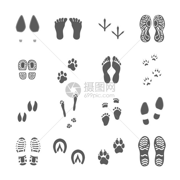 各种脚印都黑色的人类鞋类鞋底印记,鸟类,脚动物爪子,黑色版画,收集白色背景矢量插图图片