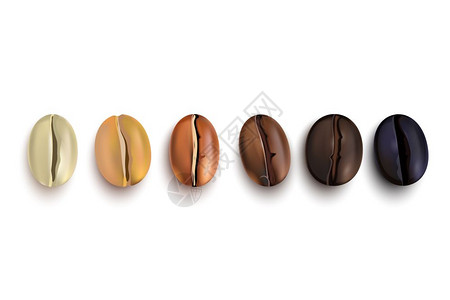 咖啡豆烤阶段咖啡豆逼真的集合同阶段的烘焙分离白色背景矢量插图图片