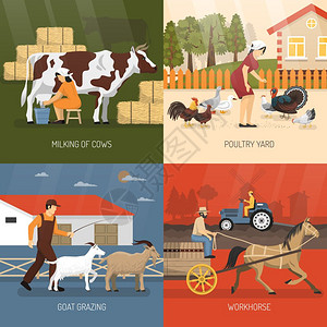 农场动物农场动物与四个方形图标集挤奶牛,家禽场,山羊放牧工作场所描述矢量插图图片