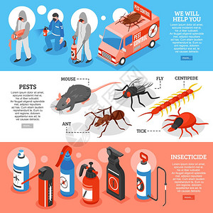 蚂蚁广告素材帮助老鼠高清图片