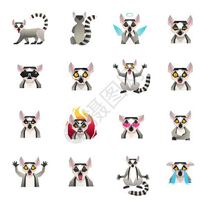 半猿图标集合狐猴多边形大集16个Macaco趣的卡通人物图标平涂鸦风格矢量插图图片