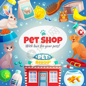 宠物店框架背景宠物商店框架与标志,动物,食品商品护理,商店建筑蓝色背景矢量插图图片