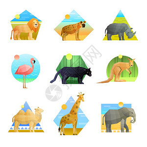 动物多边形套多边形套同形状的图案标志与非洲动物鸟类分离白色背景矢量插图图片
