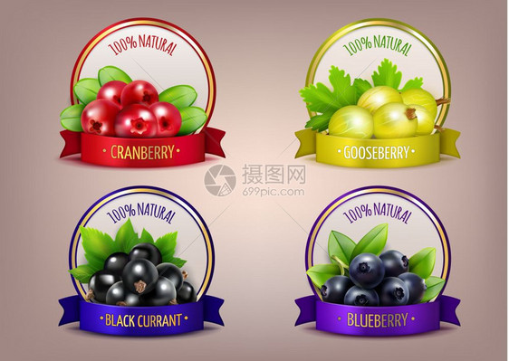 浆果标签现实的生态收藏浆果标签现实的生态收集与树枝醋栗蔓越莓蓝莓黑色醋栗分离矢量插图图片