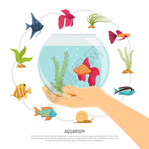 鱼缸手成水族馆背景与各种鱼类海草的平图像与可编辑的文本描述矢量插图图片