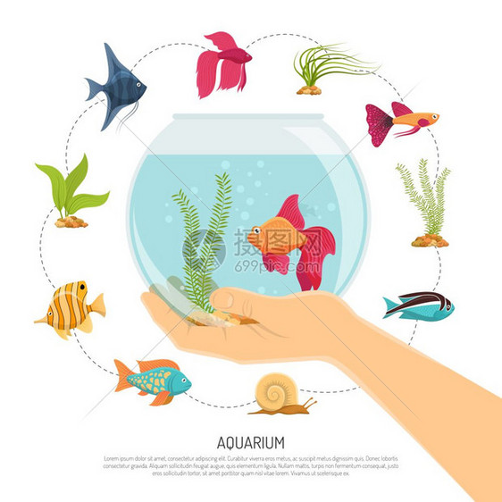 鱼缸手成水族馆背景与各种鱼类海草的平图像与可编辑的文本描述矢量插图图片