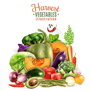 收获蔬菜插图收获秋菜的理念与五颜六色的图标,蔬菜,胡瓜,南瓜,番茄,胡萝卜,大蒜,卷心菜,现实的矢量插图图片