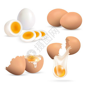 鸡蛋现实套硬煮生鸡蛋现实隔离白色背景矢量插图图片
