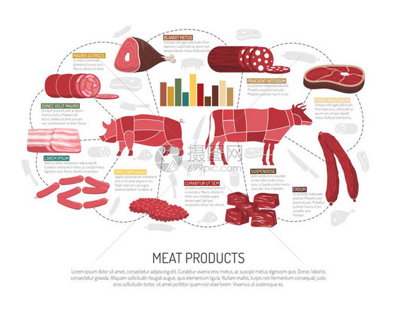 肉类市场产品平信息海报肉类市场产品品种信息展示与猪肉羊肉牛肉香肠火腿培根熟食平矢量插图图片