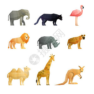 南方野生动物多边形图标南方野生动物多边形图标长颈鹿袋鼠狮子骆驼粉红色火烈鸟孤立矢量插图图片
