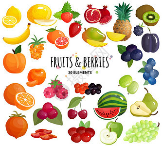 水果浆果构图背景海报地中海水果新鲜农贸市场浆果混合彩色30图标成白色背景海报矢量插图图片