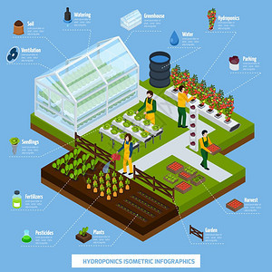 水培气培信息摄影集水培航空等距信息图集与植物农业符号矢量插图图片