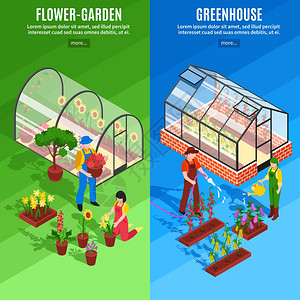 温室垂直横幅套两个垂直温室垂直横幅花卉花园温室描述矢量插图图片