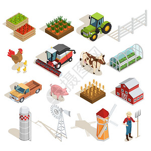 农场等距图标收集农场等距图标收集与农业机器,动物,蔬菜,水果,温室,磨坊,农民谷仓矢量插图图片