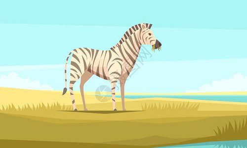 斑马野生构图中斑马自然背景构图,平形象的野生动物咀嚼草原始荒野景观矢量插图图片