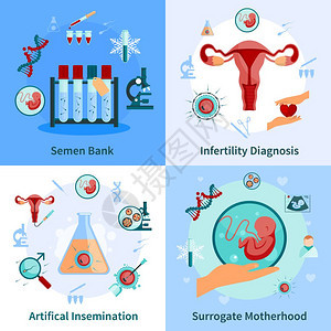 人工授精图标集人工授精图标妊娠符号平孤立矢量插图背景图片