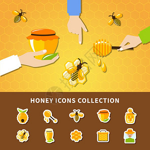 蜂蜜手的成蜂蜜手的成与人谁握他们的手荚与蜂蜜棒矢量插图图片