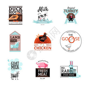 食品标志套装彩色几何食品标志提供最优质的肉类牛奶隔离白色背景平矢量插图图片