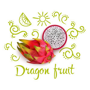 围绕龙果的涂鸦白色背景矢量插图上,用繁盛的柑橘片3D火龙果周围的排版刻字图片
