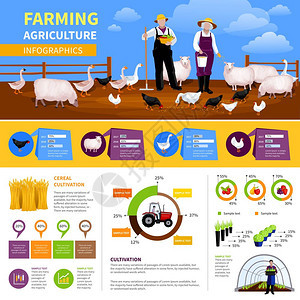 农业平信息图农业平信息图表与关畜禽,农业车辆,蔬菜种植矢量插图图片