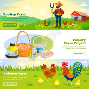 农业水平横幅家禽农场横幅与卡通风景农民鸡肉人物新鲜产品与阅读更多的按钮矢量插图图片