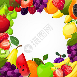 水果框架模板水果框架模板与木瓜梨,葡萄,苹果,猕猴桃,李子,柠檬浆果白色背景矢量插图图片