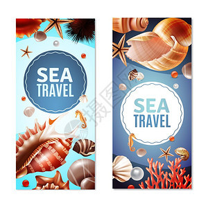 贝壳横幅海上旅行垂直横幅与各种贝壳海洋动物隔离白色背景现实矢量插图图片