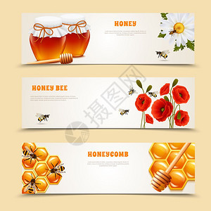三个蜂蜜横幅套三个水平隔离蜂蜜横幅蜂蜜蜜蜂蜂窝标题矢量插图图片