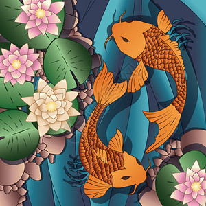 鲤鱼锦鲤池塘里游泳,百合花,矢量插图图片