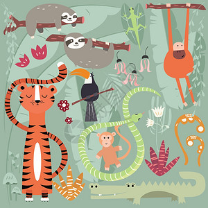 收集可爱的雨林动物,老虎,蛇,树懒,猴子,矢量插图图片