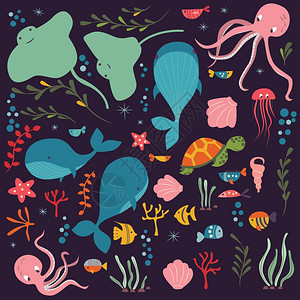 收集五颜六色的海洋动物,鲸鱼,章鱼,黄貂鱼,水母,海龟,珊瑚,矢量插图图片