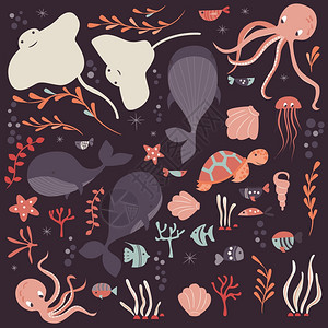 收集五颜六色的海洋动物,鲸鱼,章鱼,黄貂鱼,水母,海龟,珊瑚,矢量插图图片