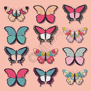 收集十只彩色手绘蝴蝶,粉红色背景,矢量插图图片