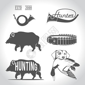 狩猎,元素野猪,野鸭,多利埃,嘴里鸭子的猎狗,猎角,芦苇图片