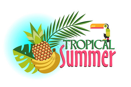 矢量插图,热带植物异国情调的鸟嘴鸟热带的夏天海报上菠萝,香蕉,热带树叶图片